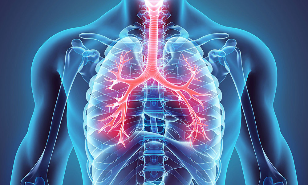 CT diagnostics in JSC Medicine